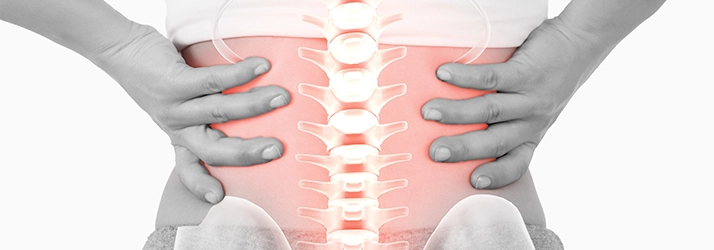 A few of a lower back, with a pink spine showing.